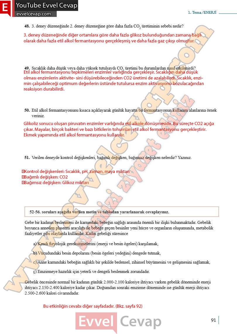 10-sinif-biyoloji-ders-kitabi-cevaplari-meb-yayinlari-2025-2026-sayfa-91