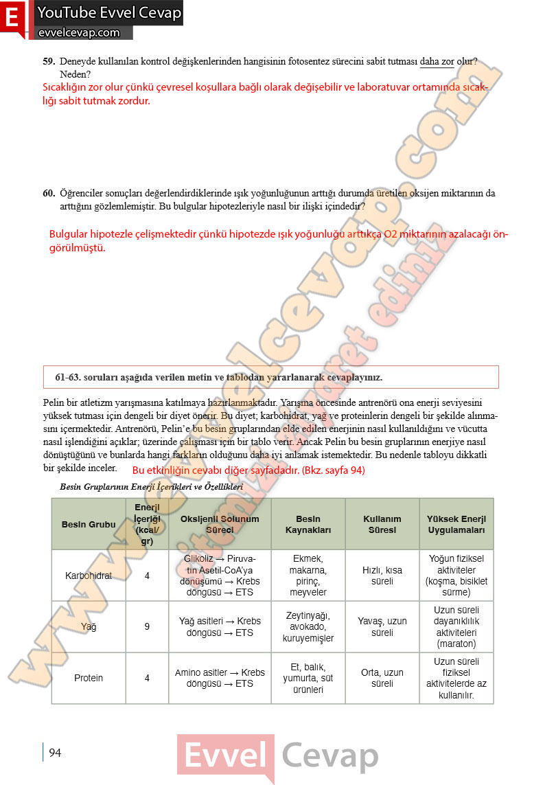 10-sinif-biyoloji-ders-kitabi-cevaplari-meb-yayinlari-2025-2026-sayfa-94