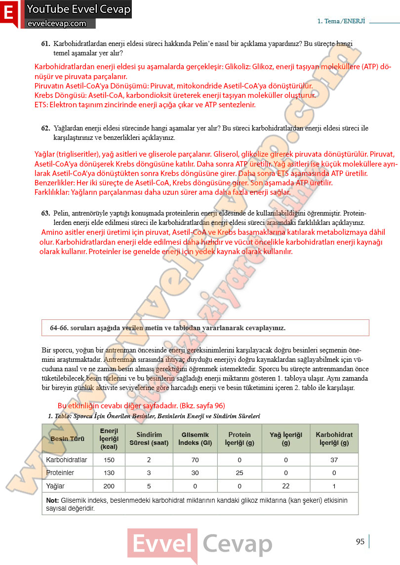 10-sinif-biyoloji-ders-kitabi-cevaplari-meb-yayinlari-2025-2026-sayfa-95