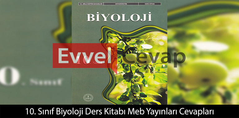 10. Sınıf Biyoloji Ders Kitabı Cevapları Meb Yayınları 2025-2026