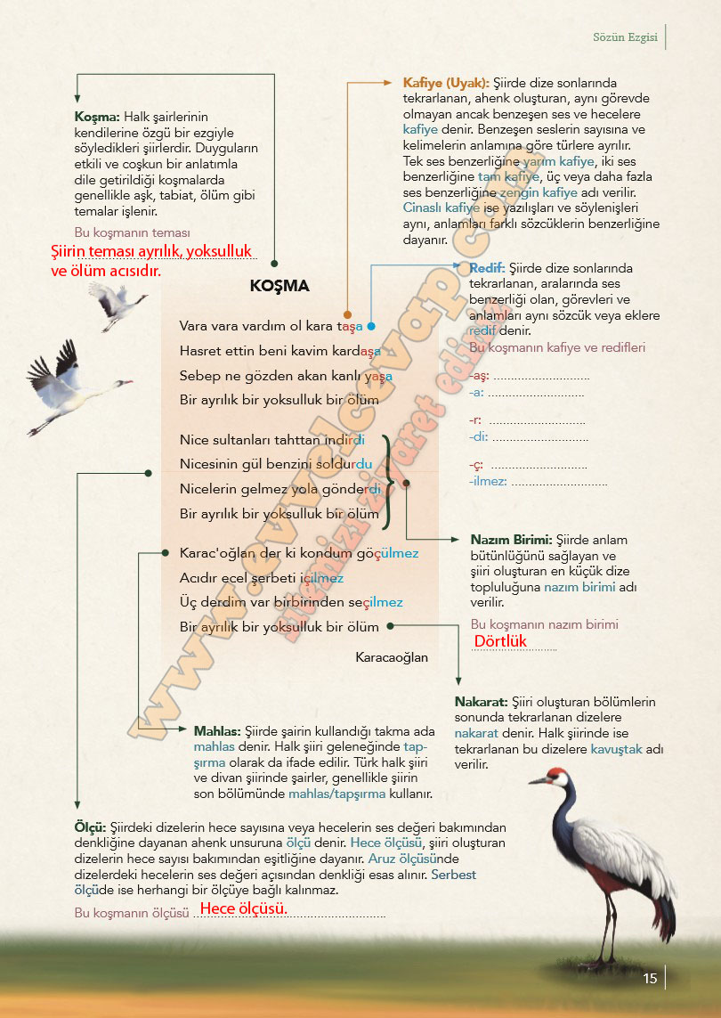 10-sinif-turk-dili-ve-edebiyati-ders-kitabi-meb-yayinlari-cevabi-sayfa-15