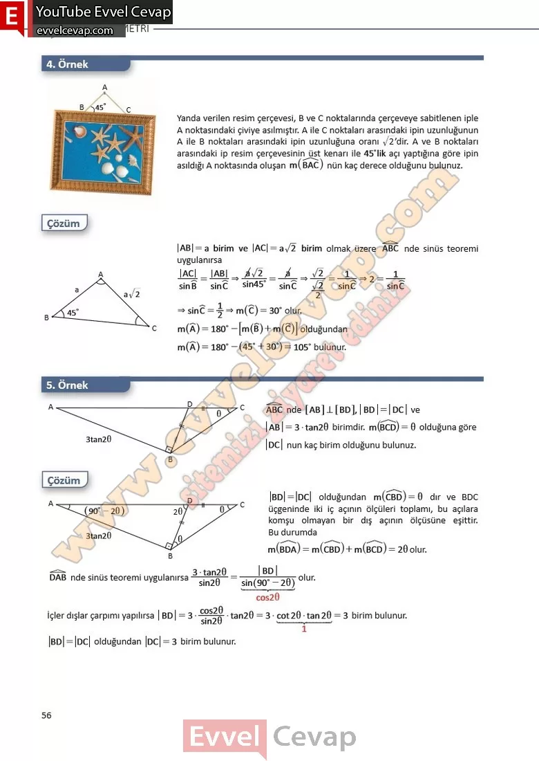 11-sinif-matematik-ders-kitabi-cevabi-sayfa-56