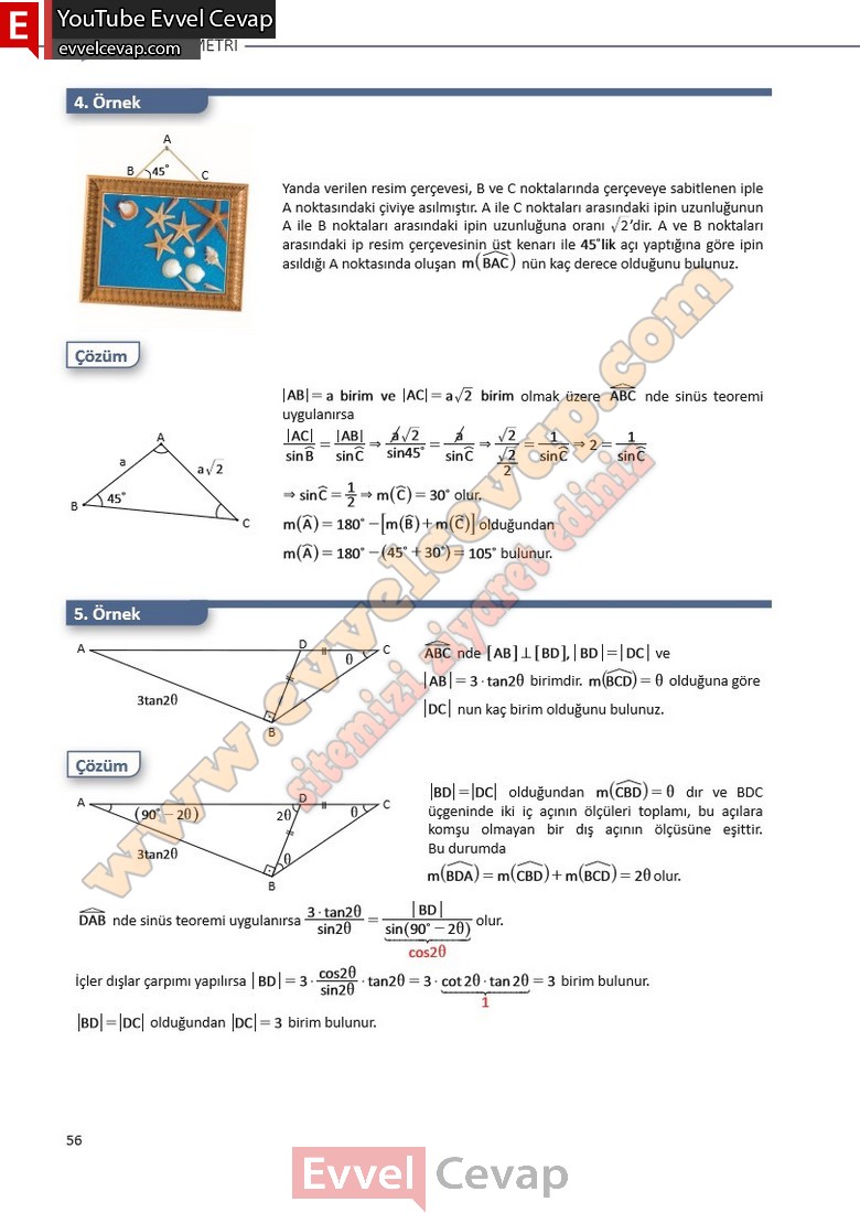 11-sinif-matematik-ders-kitabi-cevabi-sayfa-56