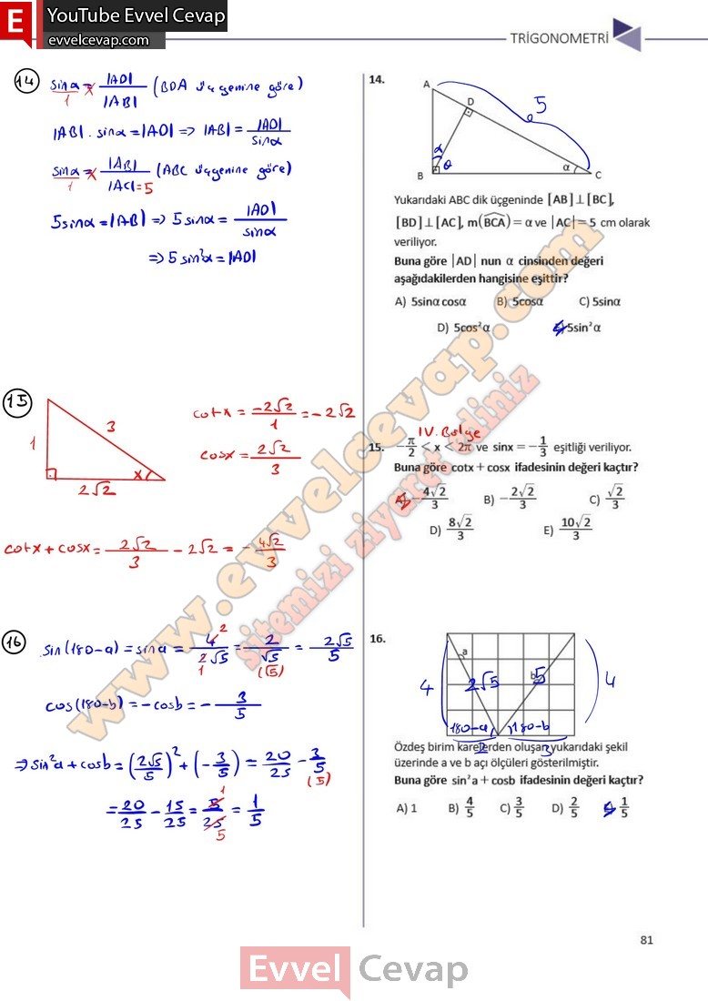 11-sinif-matematik-ders-kitabi-cevabi-sayfa-81-2