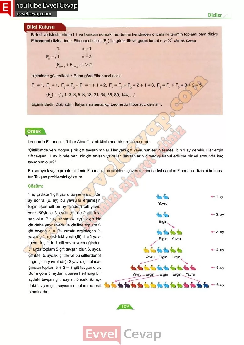 12-sinif-matematik-ders-kitabi-cevabi-ordinat-yayinlari-sayfa-109