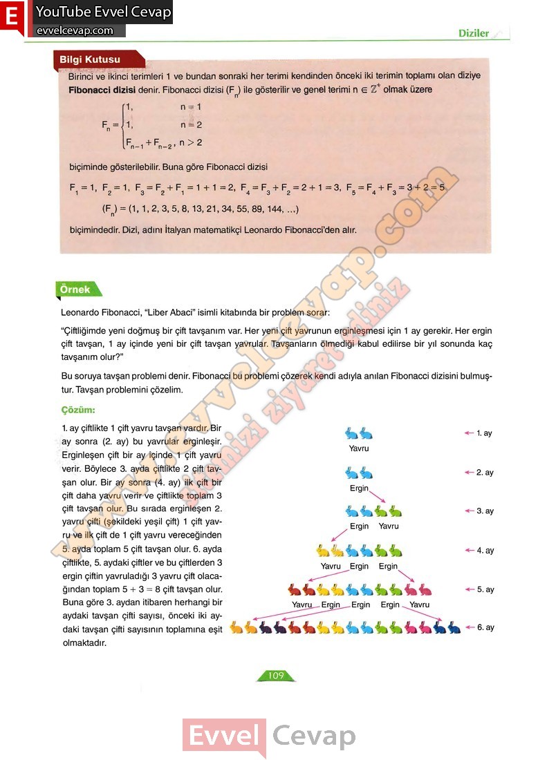 12-sinif-matematik-ders-kitabi-cevabi-ordinat-yayinlari-sayfa-109