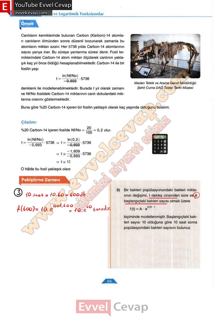12-sinif-matematik-ders-kitabi-cevabi-ordinat-yayinlari-sayfa-66-2