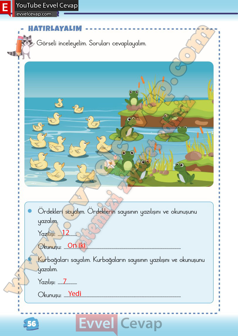 2-sinif-matematik-ders-kitabi-cevabi-meb-yayinlari-1-kitap-sayfa-56