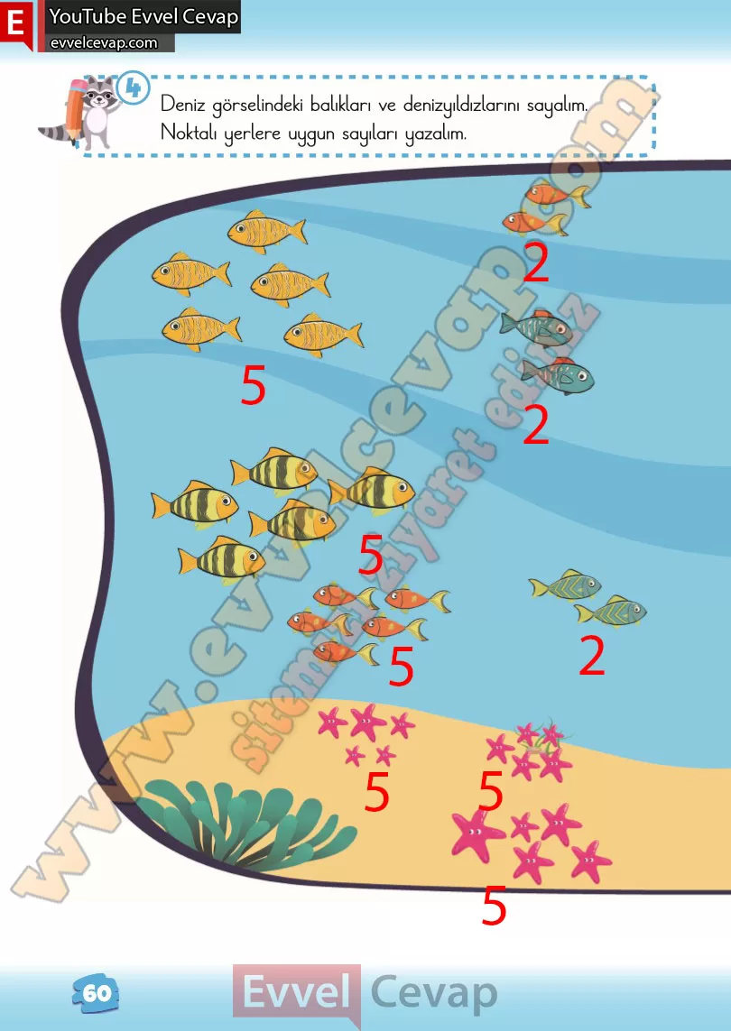 2-sinif-matematik-ders-kitabi-cevabi-meb-yayinlari-1-kitap-sayfa-60