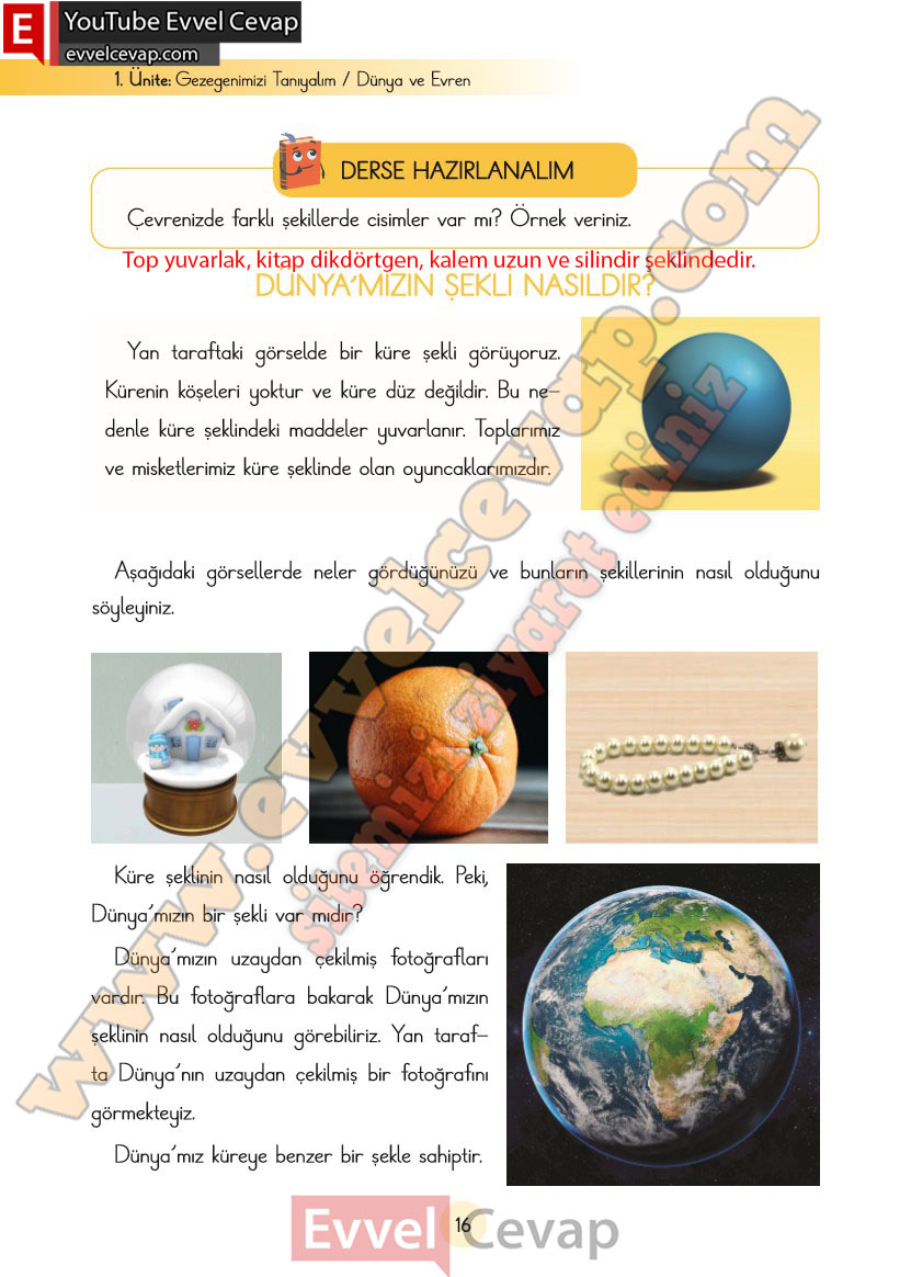 3-sinif-fen-bilimleri-ders-kitabi-cevaplari-cem-yayincilik-sayfa-16