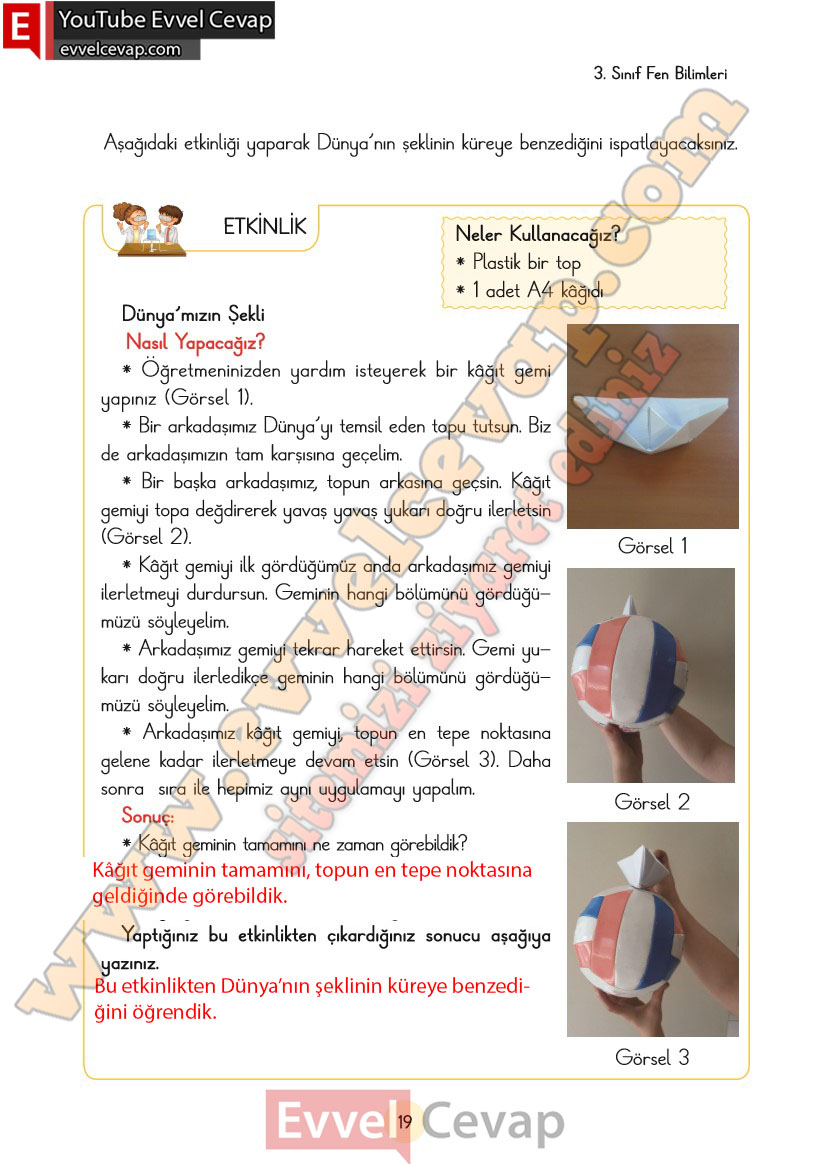3-sinif-fen-bilimleri-ders-kitabi-cevaplari-cem-yayincilik-sayfa-19