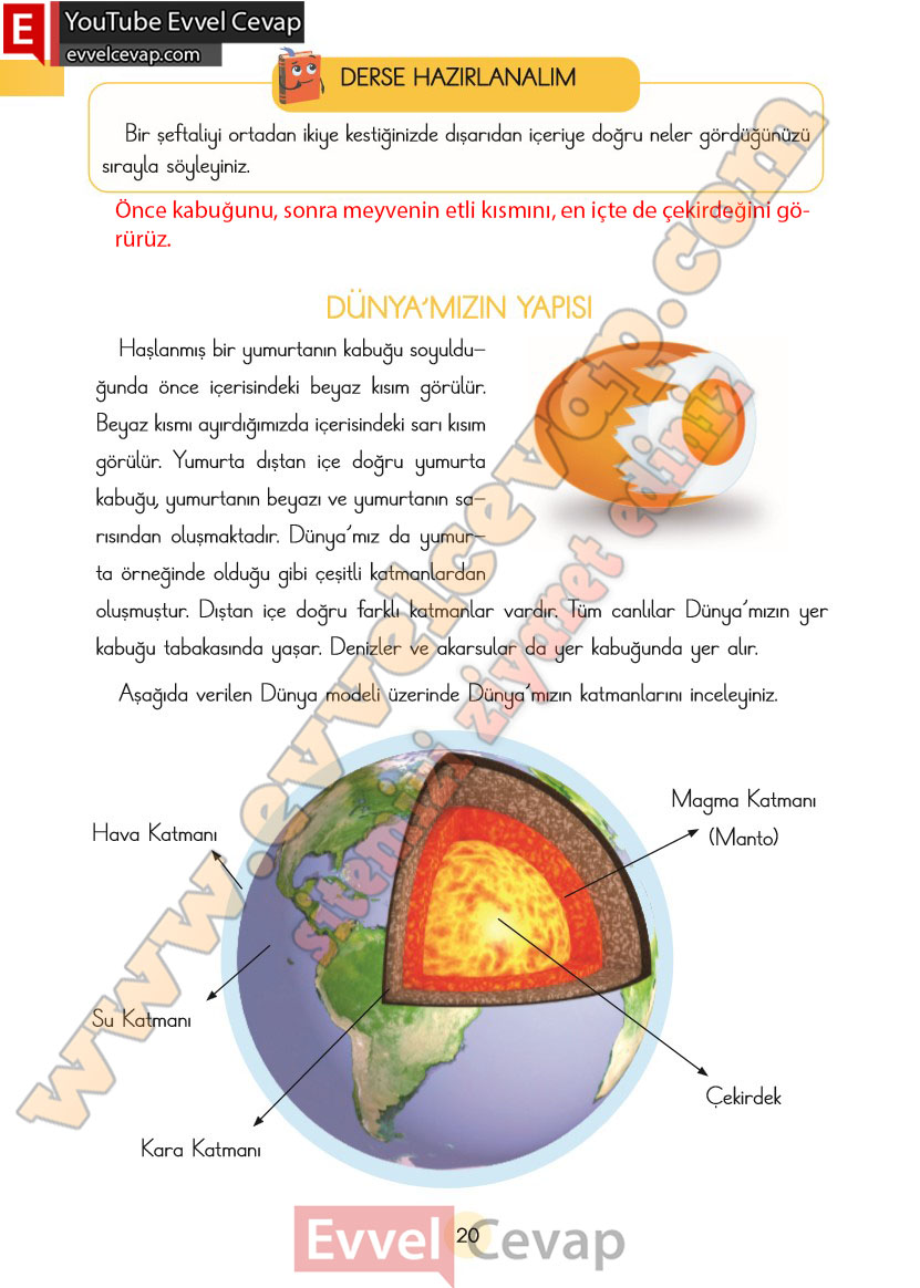 3-sinif-fen-bilimleri-ders-kitabi-cevaplari-cem-yayincilik-sayfa-20