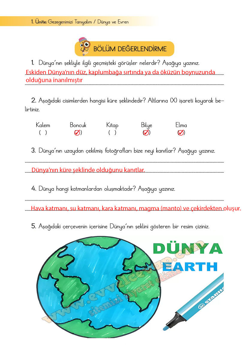 3-sinif-fen-bilimleri-ders-kitabi-cevaplari-cem-yayincilik-sayfa-22