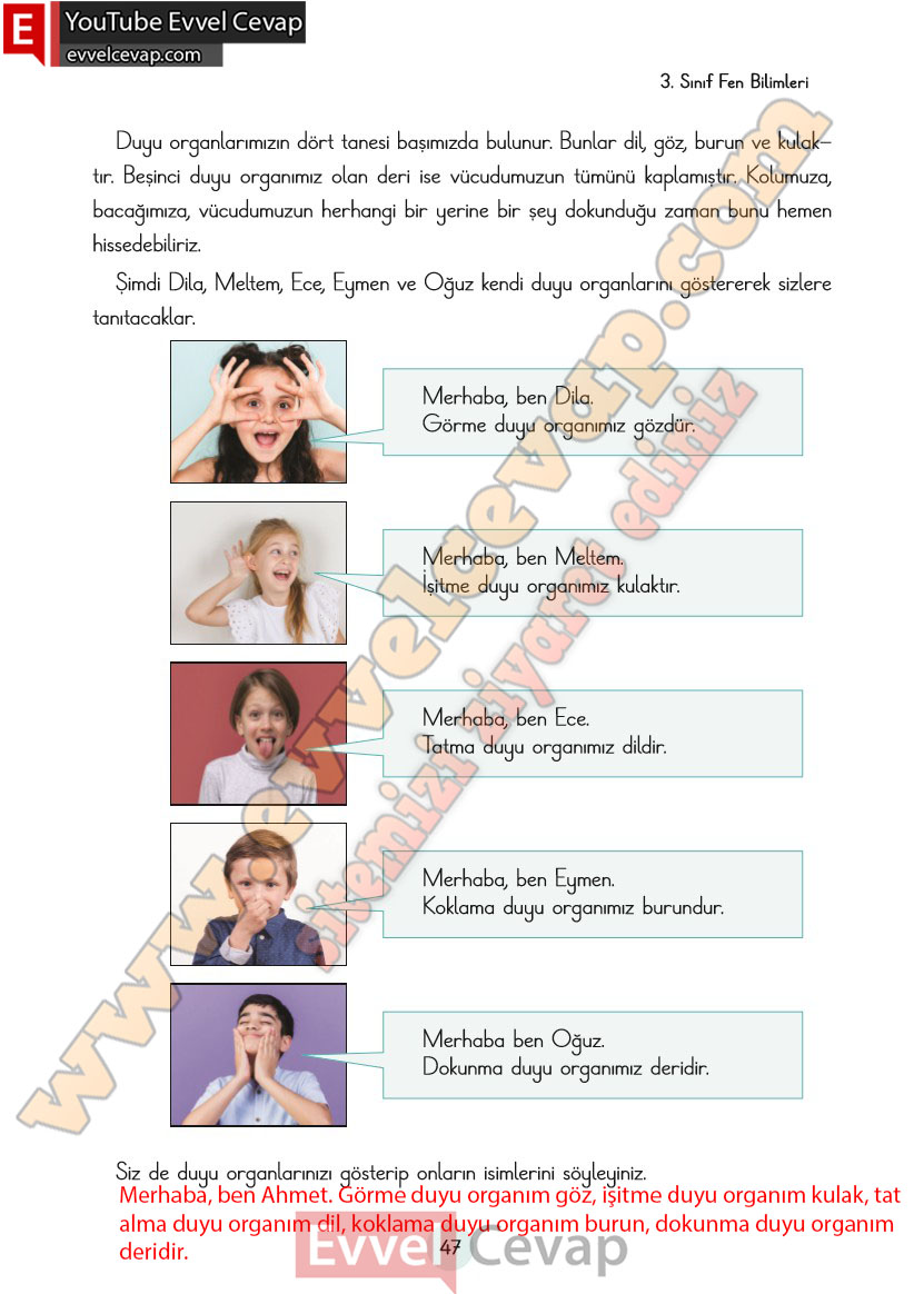 3-sinif-fen-bilimleri-ders-kitabi-cevaplari-cem-yayincilik-sayfa-47