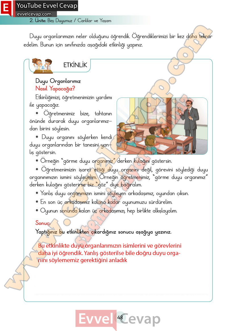 3-sinif-fen-bilimleri-ders-kitabi-cevaplari-cem-yayincilik-sayfa-48