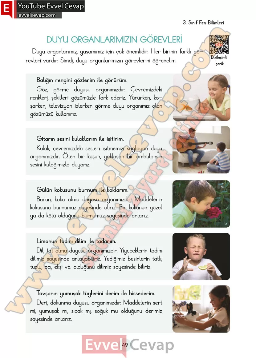 3-sinif-fen-bilimleri-ders-kitabi-cevaplari-cem-yayincilik-sayfa-49