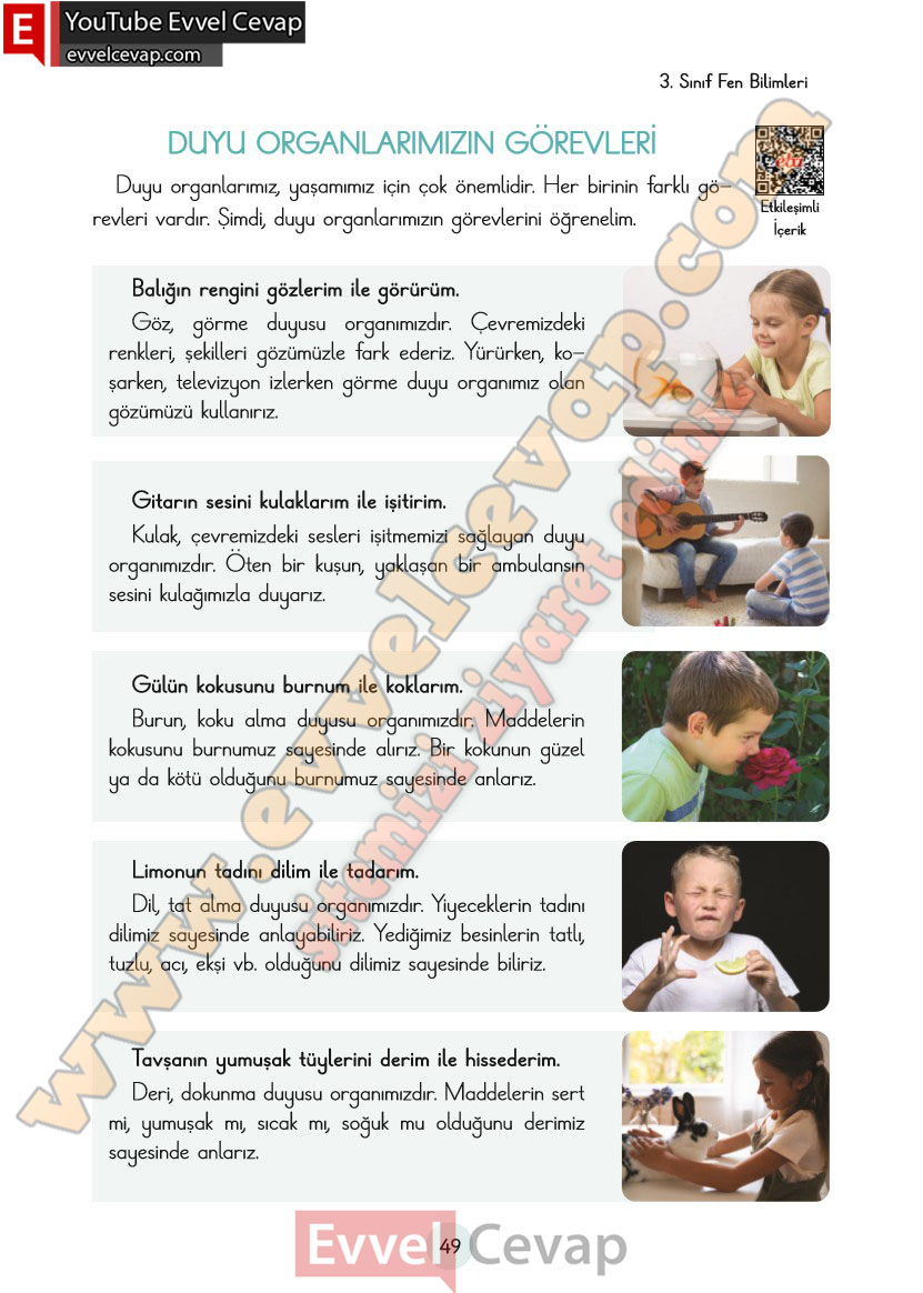 3-sinif-fen-bilimleri-ders-kitabi-cevaplari-cem-yayincilik-sayfa-49
