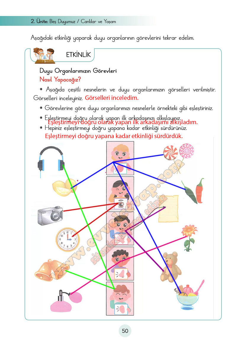 3-sinif-fen-bilimleri-ders-kitabi-cevaplari-cem-yayincilik-sayfa-50