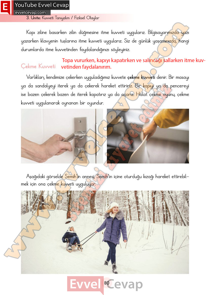 3-sinif-fen-bilimleri-ders-kitabi-cevaplari-cem-yayincilik-sayfa-80