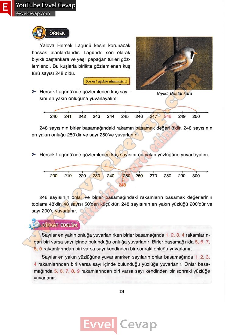 4-sinif-matematik-ders-kitabi-cevabi-fersa-yayincilik-sayfa-24