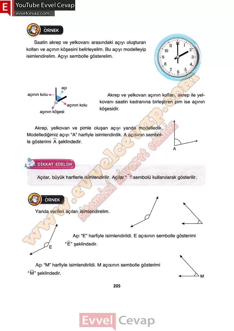 4-sinif-matematik-ders-kitabi-cevabi-fersa-yayinlari-sayfa-205