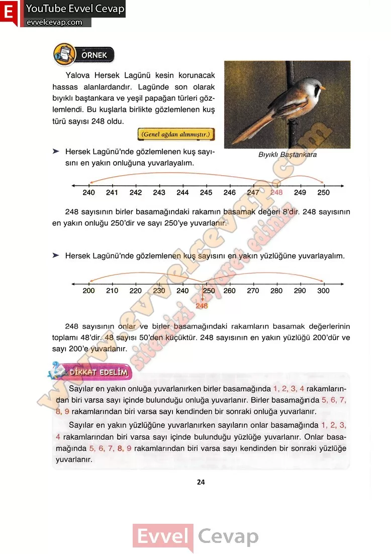 4-sinif-matematik-ders-kitabi-cevabi-fersa-yayinlari-sayfa-24