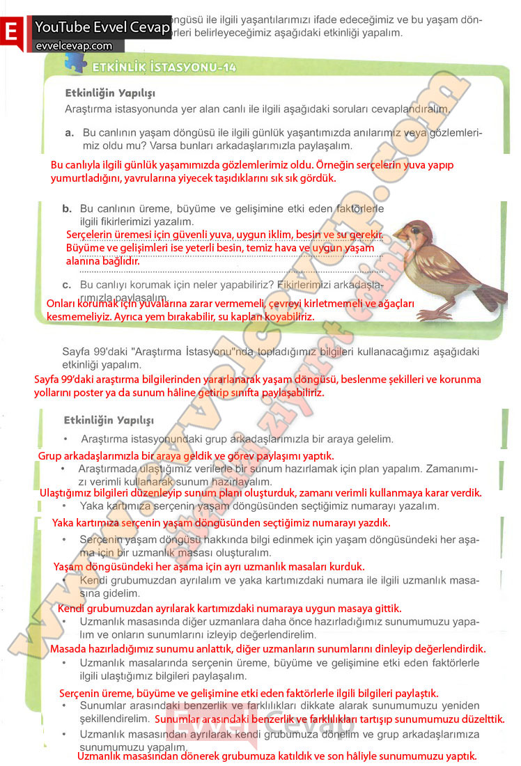 6-sinif-fen-bilimleri-ders-kitabi-cevabi-meb-yayinlari-1-kitap-sayfa-100