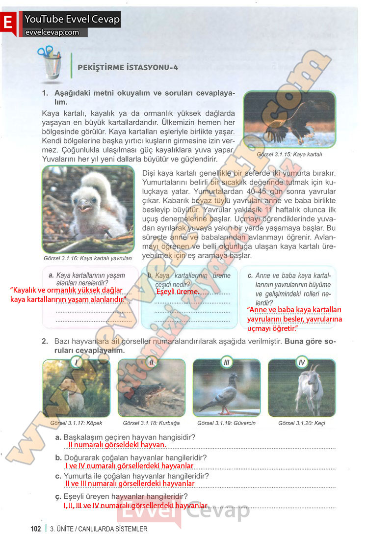 6-sinif-fen-bilimleri-ders-kitabi-cevabi-meb-yayinlari-1-kitap-sayfa-102