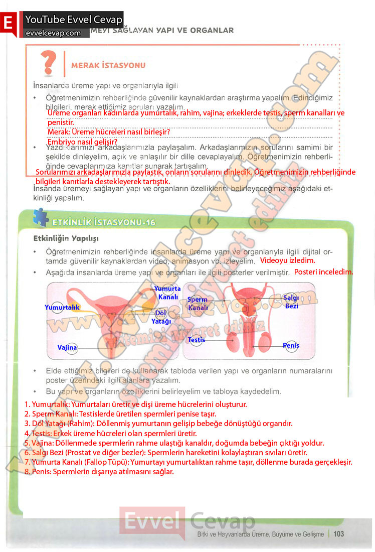 6-sinif-fen-bilimleri-ders-kitabi-cevabi-meb-yayinlari-1-kitap-sayfa-103
