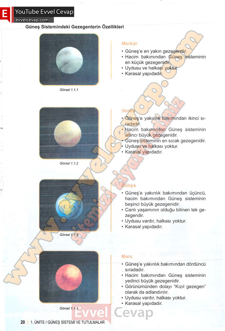 6-sinif-fen-bilimleri-ders-kitabi-cevabi-meb-yayinlari-1-kitap-sayfa-20