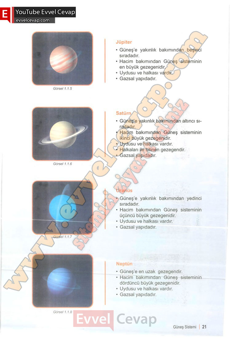 6-sinif-fen-bilimleri-ders-kitabi-cevabi-meb-yayinlari-1-kitap-sayfa-21