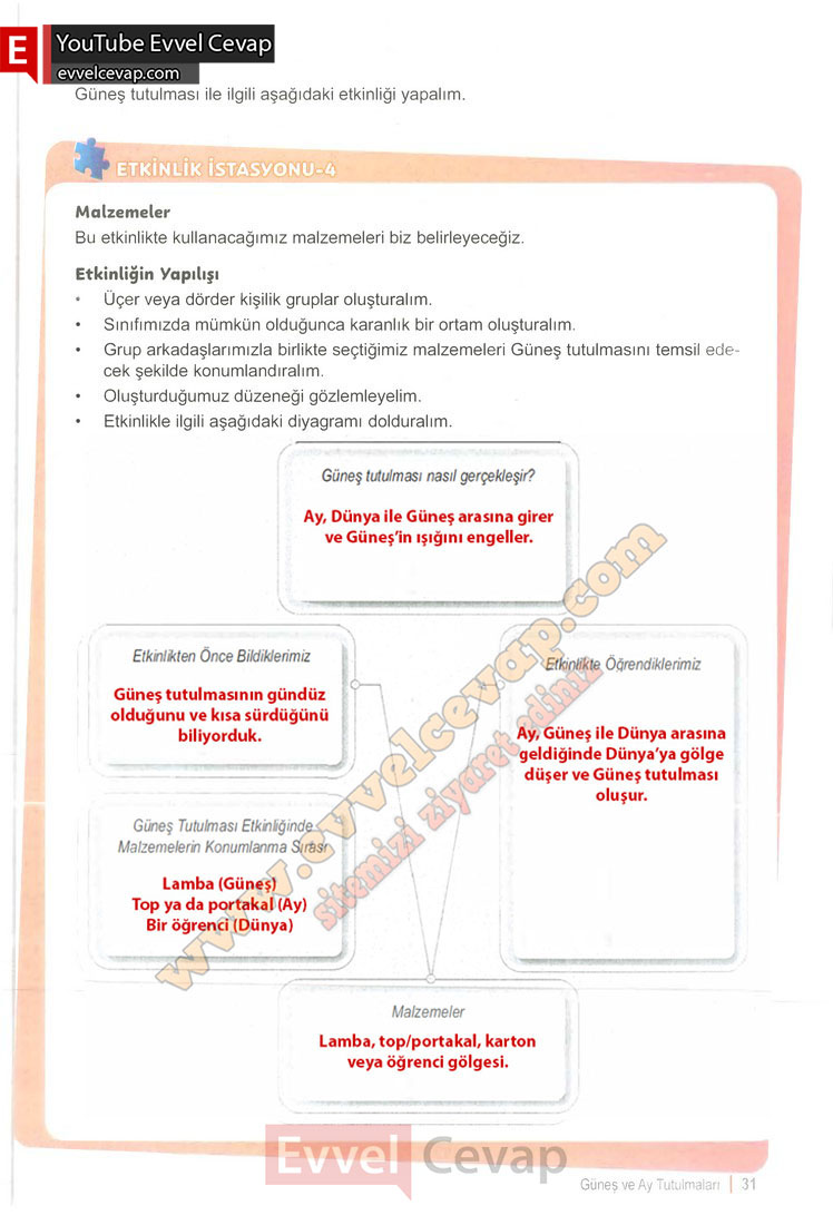 6-sinif-fen-bilimleri-ders-kitabi-cevabi-meb-yayinlari-1-kitap-sayfa-31
