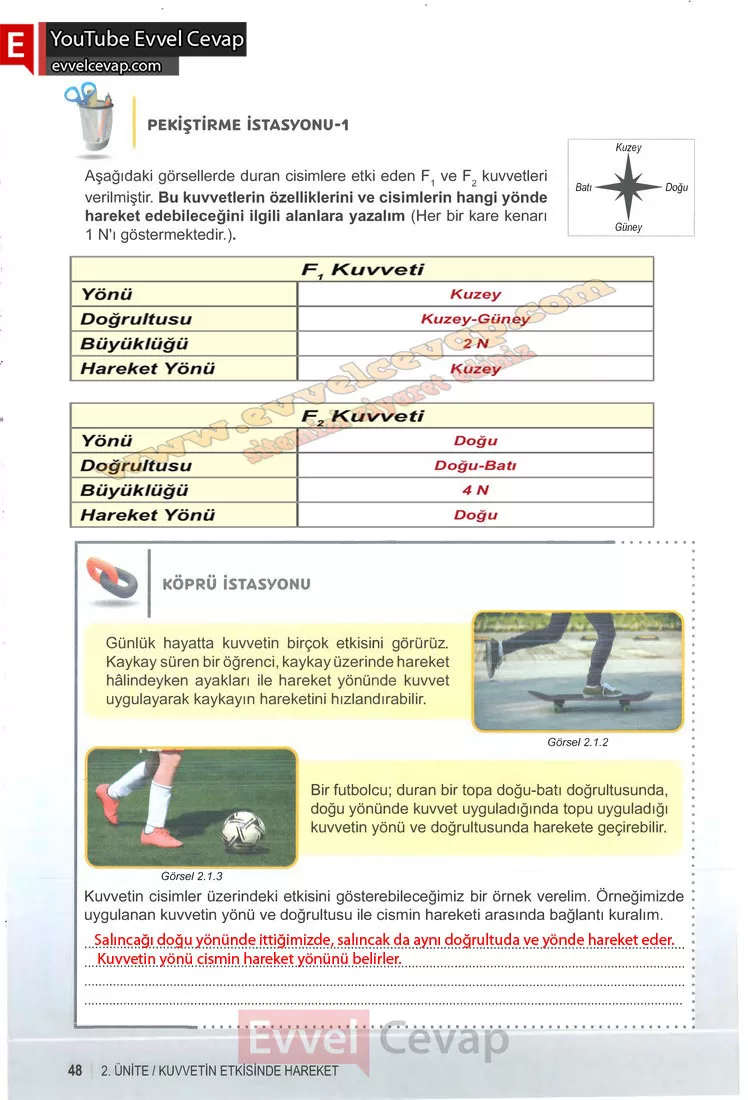 6-sinif-fen-bilimleri-ders-kitabi-cevabi-meb-yayinlari-1-kitap-sayfa-48