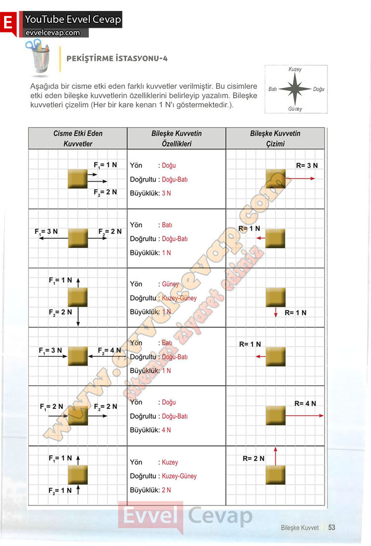 6-sinif-fen-bilimleri-ders-kitabi-cevabi-meb-yayinlari-1-kitap-sayfa-53