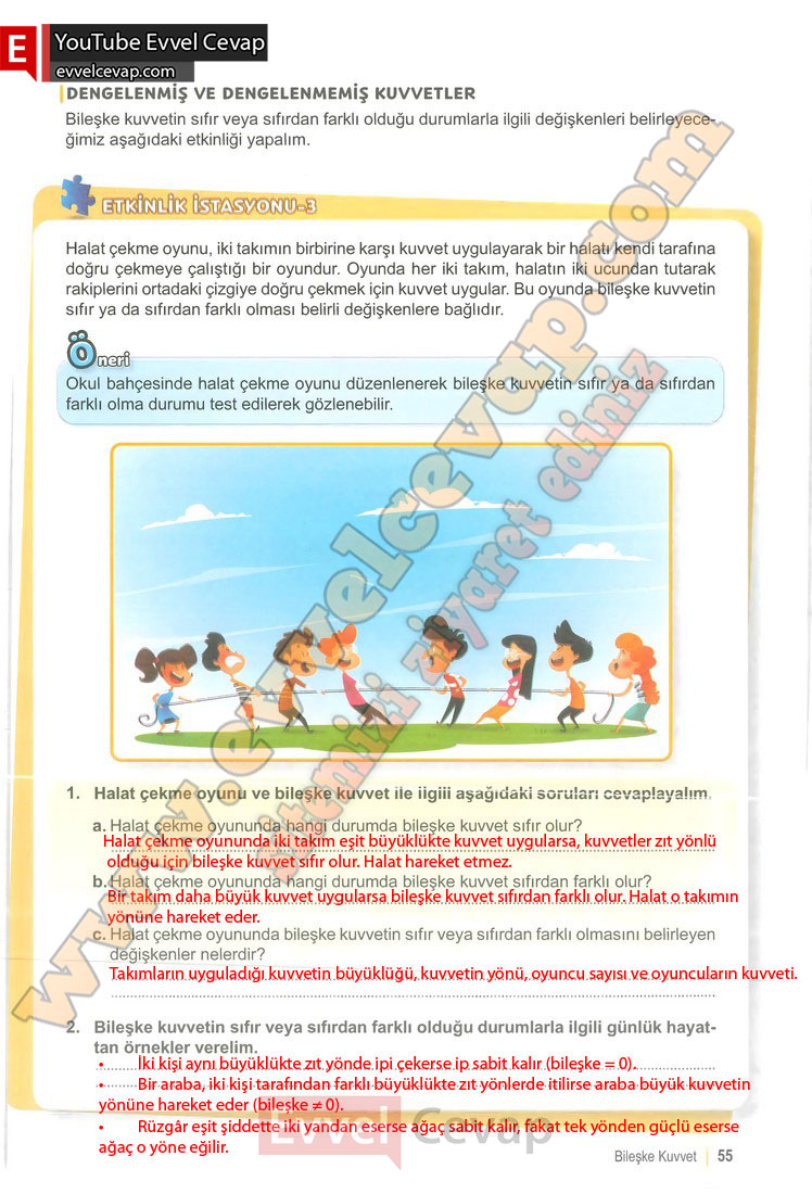 6-sinif-fen-bilimleri-ders-kitabi-cevabi-meb-yayinlari-1-kitap-sayfa-55