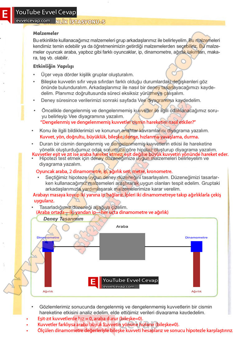 6-sinif-fen-bilimleri-ders-kitabi-cevabi-meb-yayinlari-1-kitap-sayfa-58