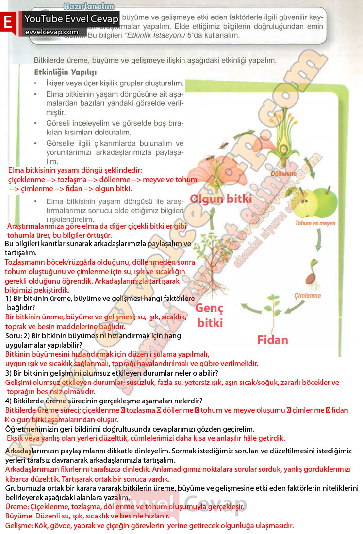 6-sinif-fen-bilimleri-ders-kitabi-cevabi-meb-yayinlari-1-kitap-sayfa-91