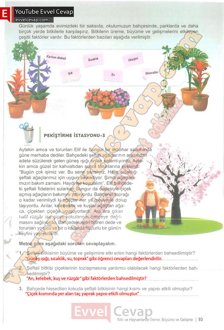 6-sinif-fen-bilimleri-ders-kitabi-cevabi-meb-yayinlari-1-kitap-sayfa-93