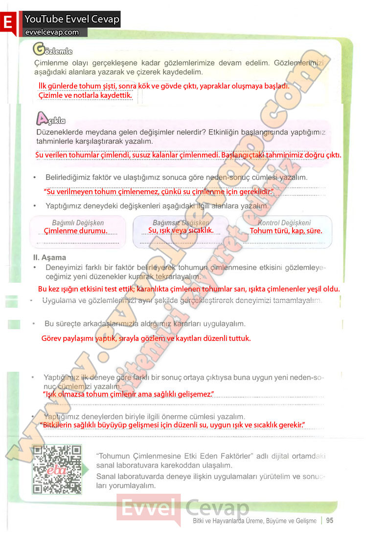 6-sinif-fen-bilimleri-ders-kitabi-cevabi-meb-yayinlari-1-kitap-sayfa-95