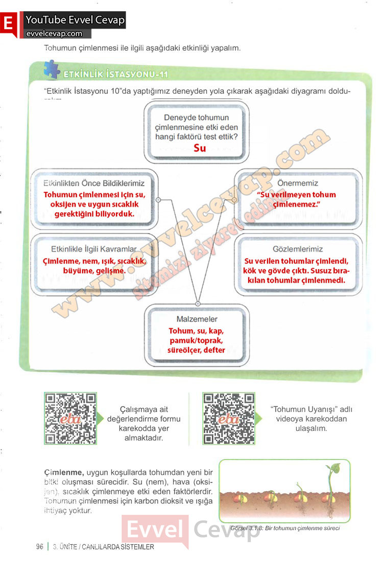 6-sinif-fen-bilimleri-ders-kitabi-cevabi-meb-yayinlari-1-kitap-sayfa-96
