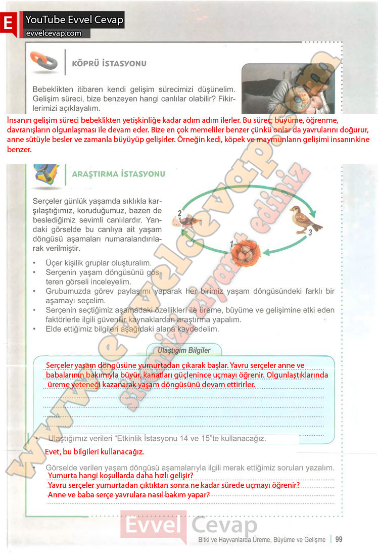 6-sinif-fen-bilimleri-ders-kitabi-cevabi-meb-yayinlari-1-kitap-sayfa-99