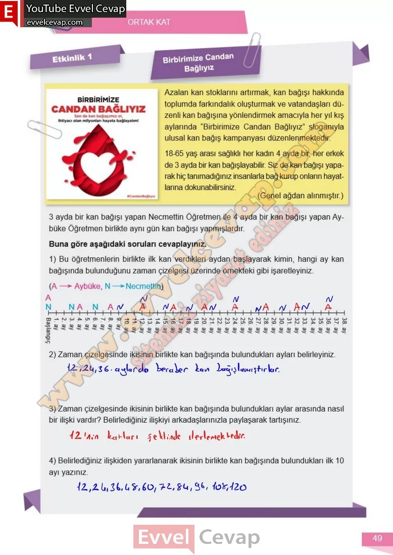 6-sinif-matematik-ders-kitabi-cevabi-meb-yayinlari-1-kitap-sayfa-49