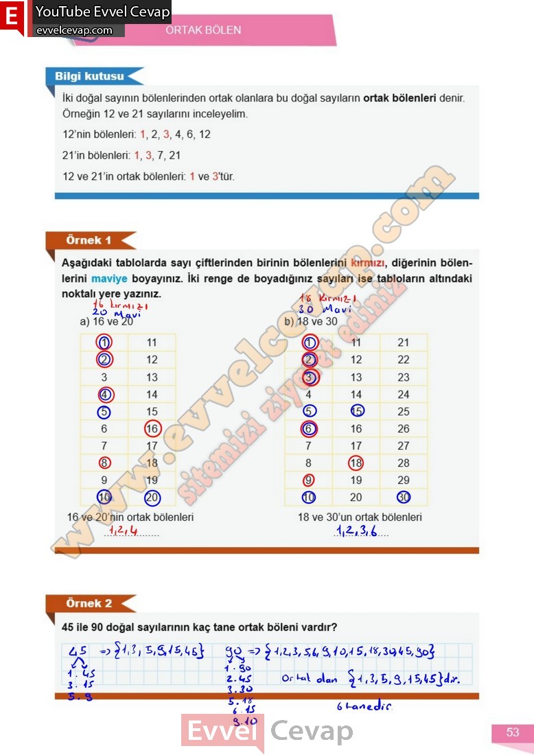 6-sinif-matematik-ders-kitabi-cevabi-meb-yayinlari-1-kitap-sayfa-53