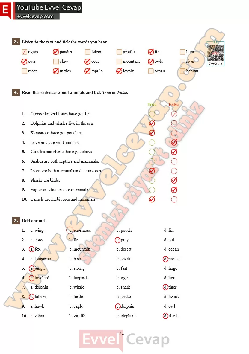 7-sinif-ingilizce-ders-kitabi-cevabi-sdr-ipekyolu-yayinlari-sayfa-71