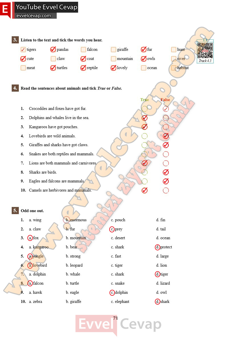 7-sinif-ingilizce-ders-kitabi-cevabi-sdr-ipekyolu-yayinlari-sayfa-71