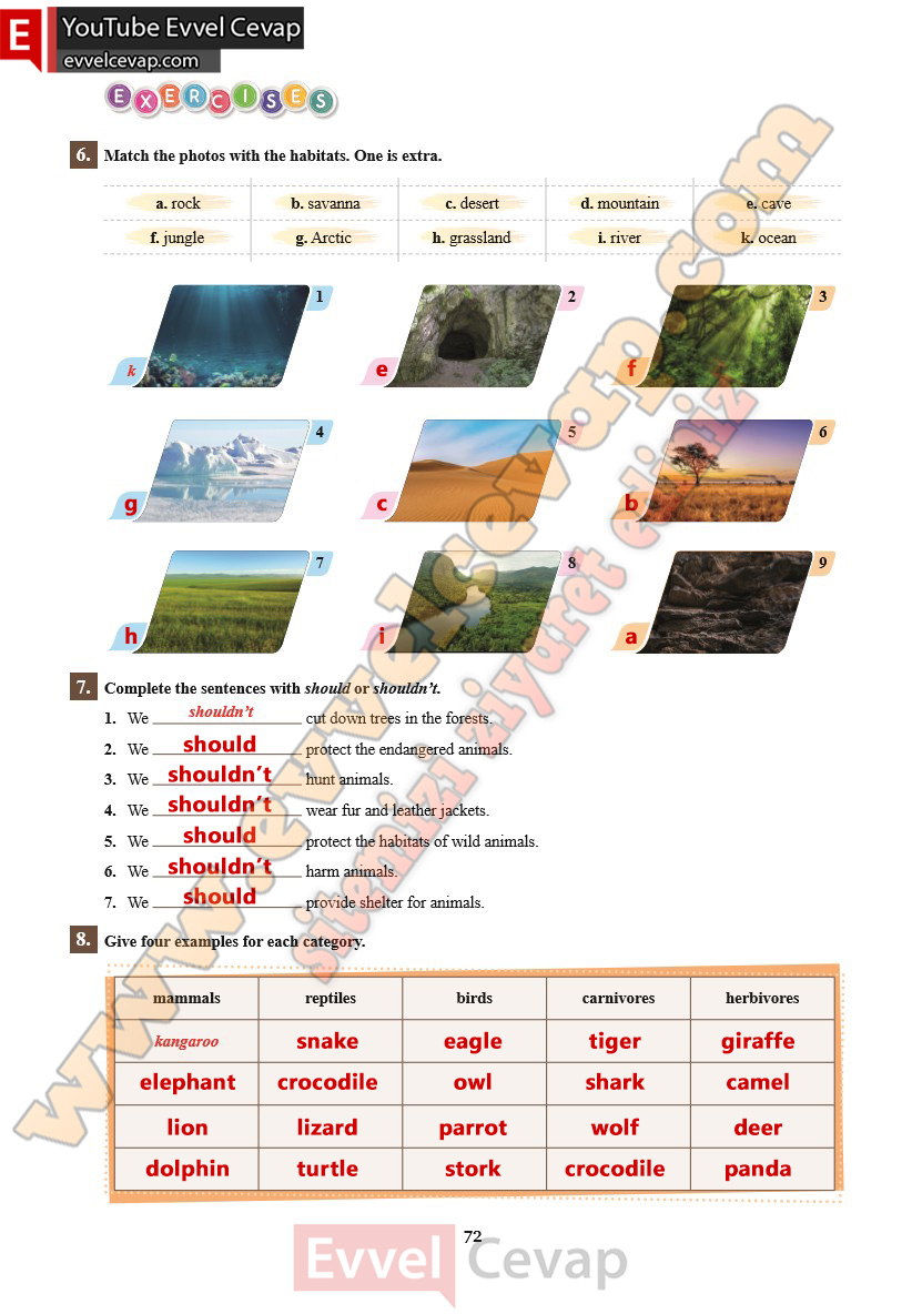 7-sinif-ingilizce-ders-kitabi-cevabi-sdr-ipekyolu-yayinlari-sayfa-72