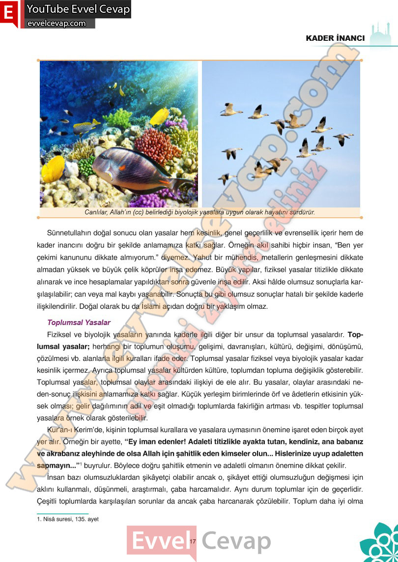 8-sinif-din-kulturu-ders-kitabi-cevaplari-sdr-ipekyolu-yayincilik-sayfa-17