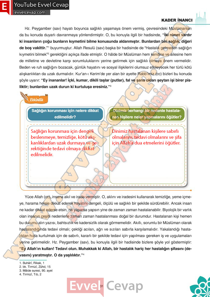 8-sinif-din-kulturu-ders-kitabi-cevaplari-sdr-ipekyolu-yayincilik-sayfa-31
