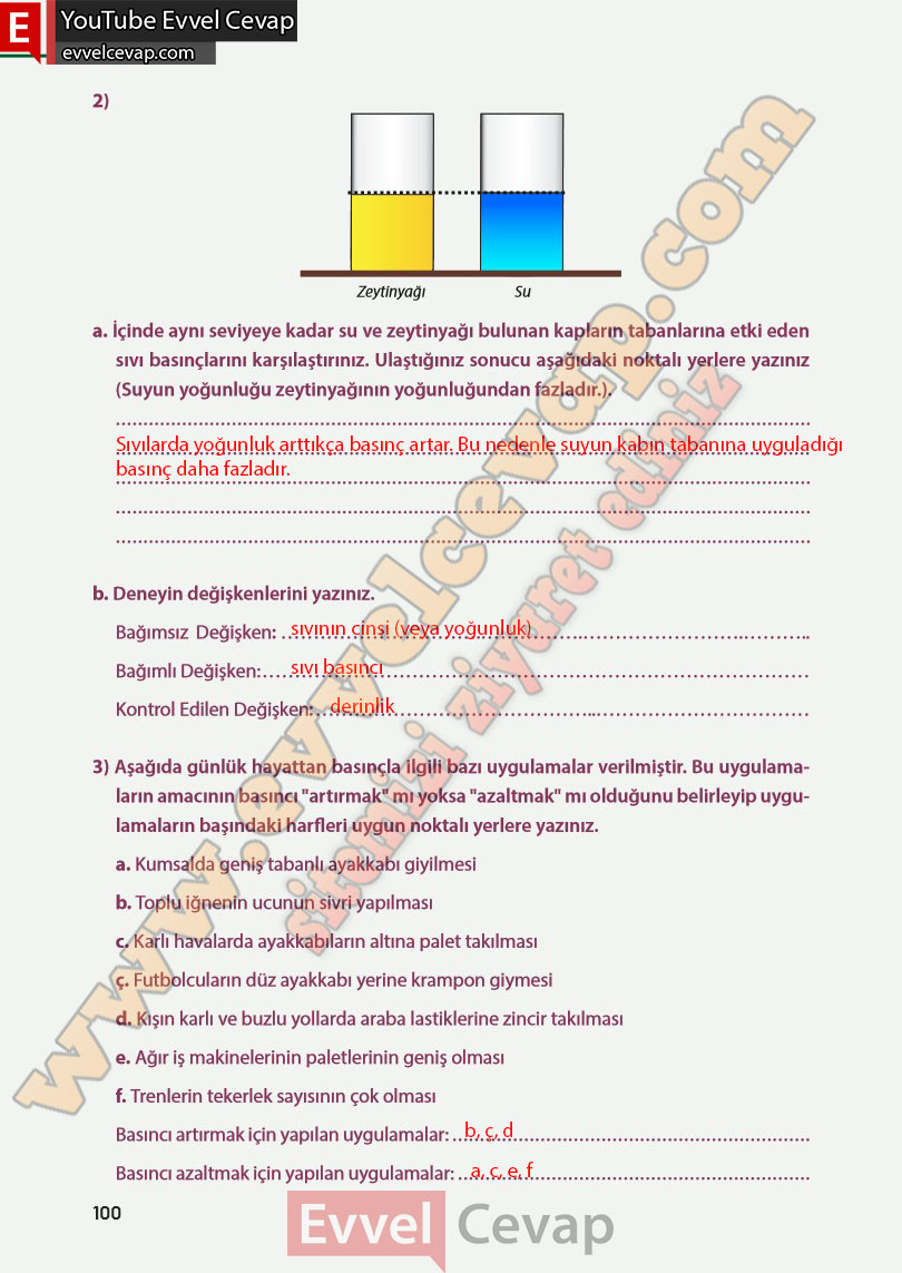 8-sinif-fen-bilimleri-ders-kitabi-cevabi-meb-yayinlari-sayfa-100