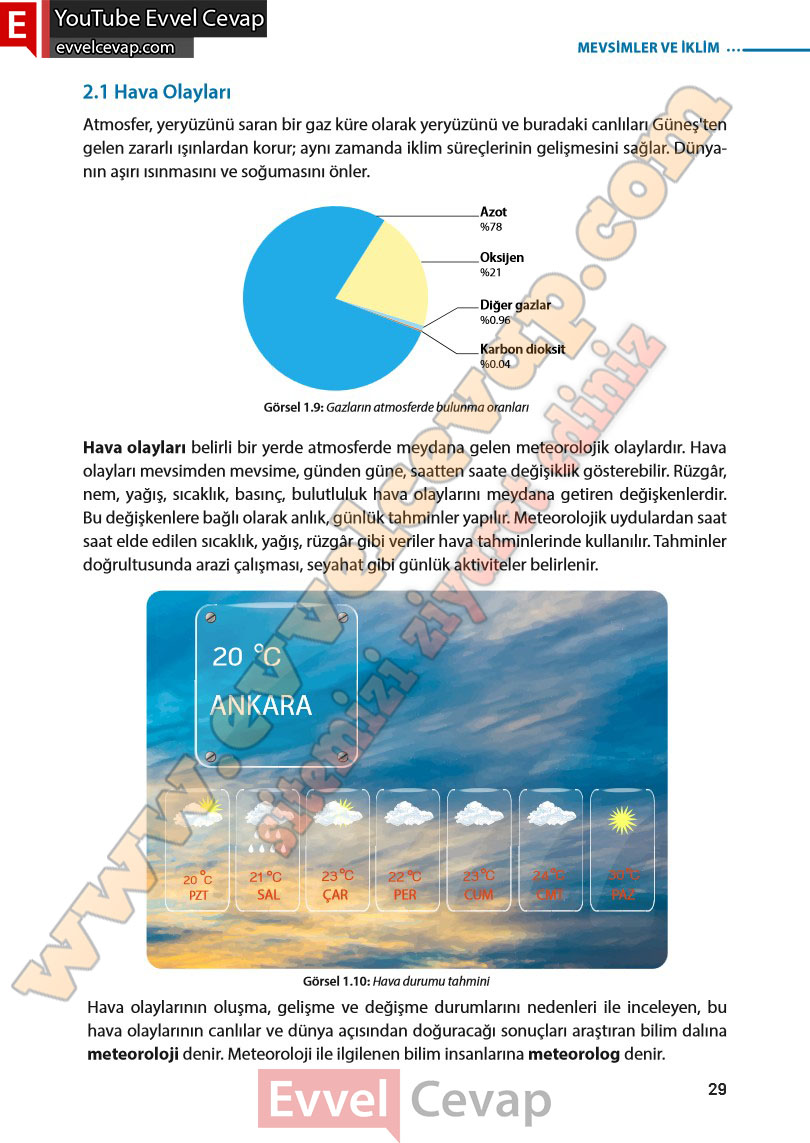 8-sinif-fen-bilimleri-ders-kitabi-cevabi-meb-yayinlari-sayfa-29